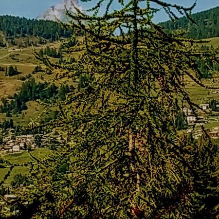 Chez Tonton Wi-Fi Villa Aosta Eksteriør billede