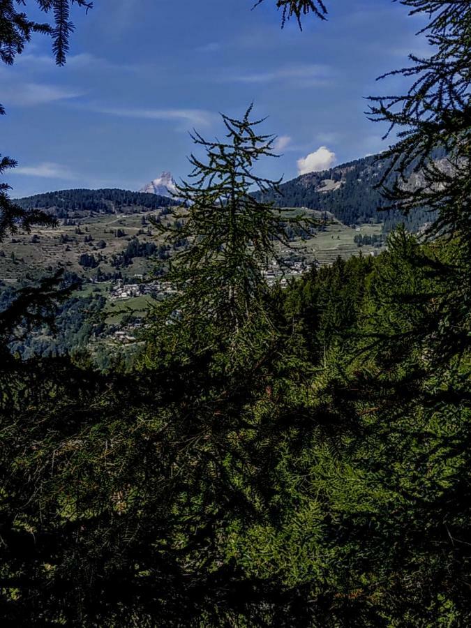 Chez Tonton Wi-Fi Villa Aosta Eksteriør billede