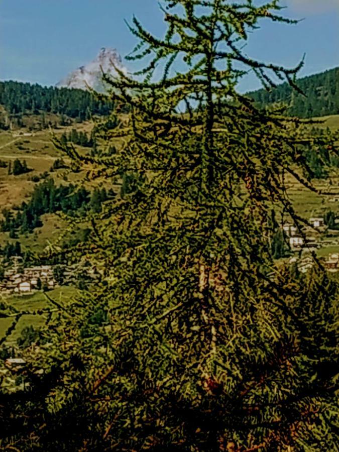Chez Tonton Wi-Fi Villa Aosta Eksteriør billede