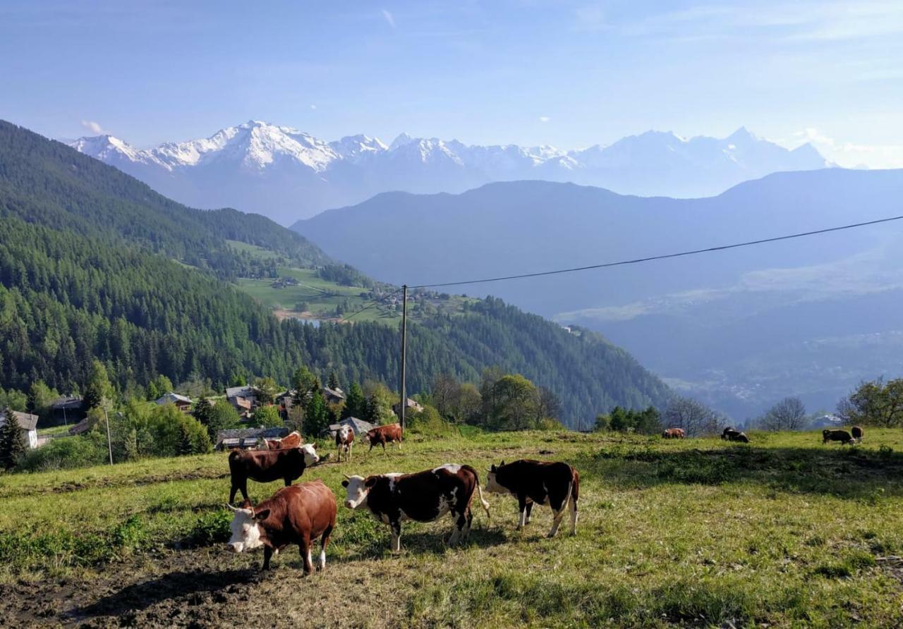 Chez Tonton Wi-Fi Villa Aosta Eksteriør billede