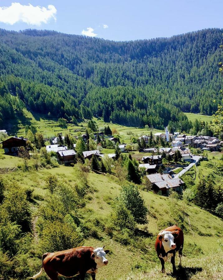 Chez Tonton Wi-Fi Villa Aosta Eksteriør billede