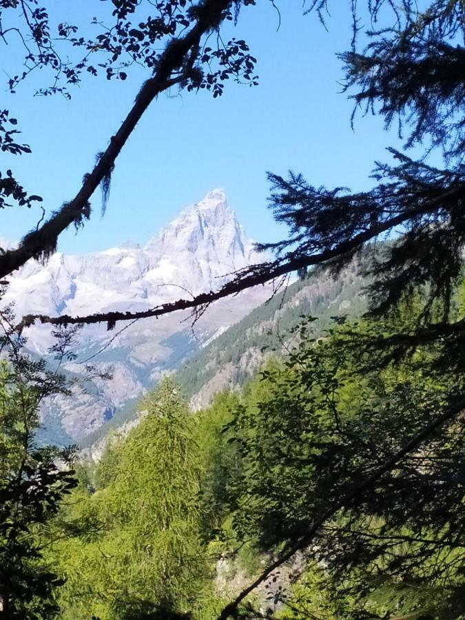Chez Tonton Wi-Fi Villa Aosta Eksteriør billede